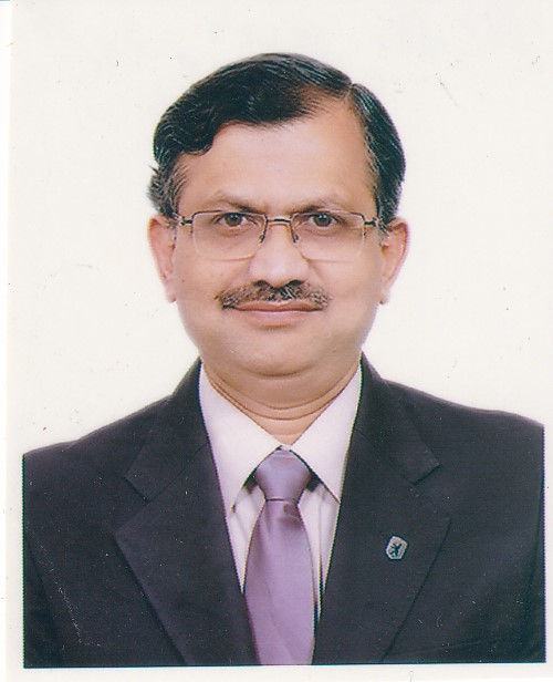 Prof. Dr. P K Saha